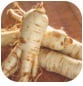Panax Ginseng